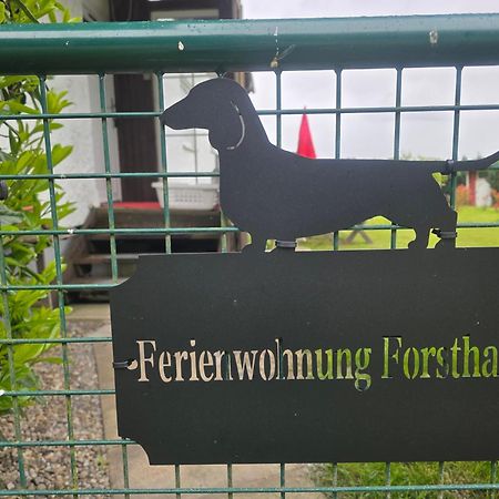 באד גרוננבאך Ferienwohnung Forsthaus מראה חיצוני תמונה